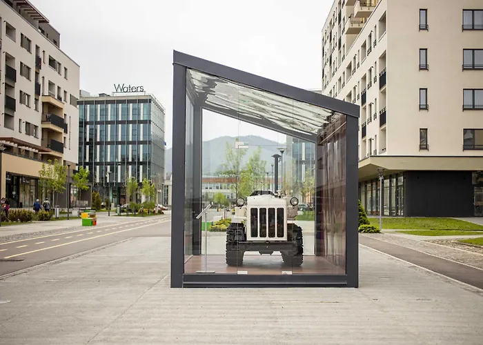 4friendscoresibrasov Pink * Brasov